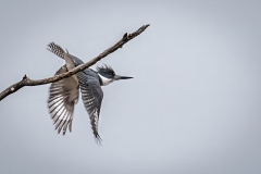 IMG_5502-Edit