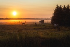 IMG_6722-Edit
