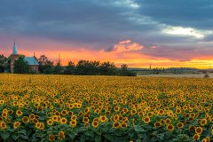 IMG_1447-Edit