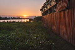 IMG_1706-Edit