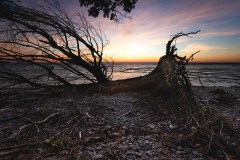 IMG_2772-Edit