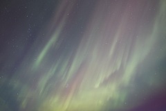 IMG_3333-Edit