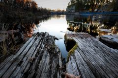 IMG_3555-Edit