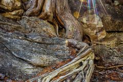 IMG_5026-Pano-Edit-Edit