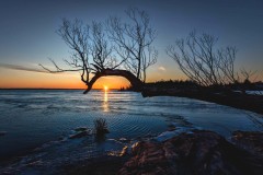 IMG_5169-Edit