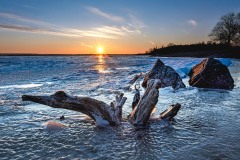 IMG_5177-Edit