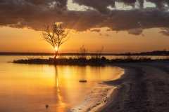 IMG_5347-Edit-2