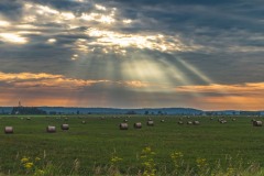 IMG_7521-Edit