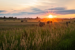 IMG_8667-Edit
