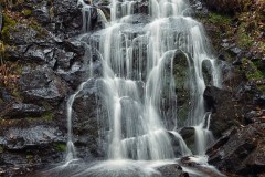 MG_7021-Edit