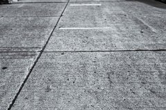 IMG_6772-Edit-Edit