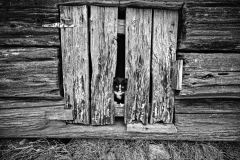 MG_8539-Edit