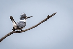 IMG_5501-Edit