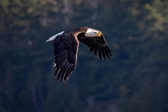 IMG_5935-Edit-2