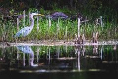 IMG_6656-Edit