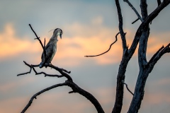 IMG_7547-Edit